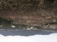 iphone_upload_pic-香雪海