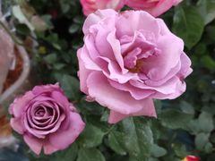 -沈阳国际会展中心管理有限公司