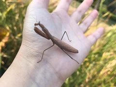 -羊亭河湿地公园