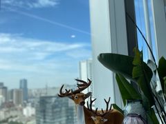 -马泷齿科·成都锦江置略马泷口腔门诊部(IFS国金中心店)