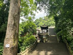 -青城山