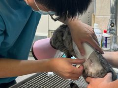 -动物缘宠物医院·骨科·猫科(西二环店)