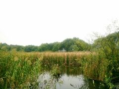 -西湖风景区-江洋畈生态公园