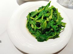 清炒豆尖-峨嵋酒家总店(车公庄店)