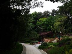 -上海市保健医疗中心