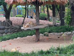 -北京野生动物园