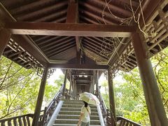 -合肥滨湖国家森林公园