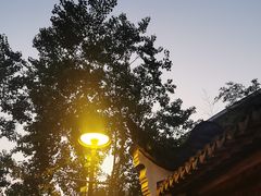 -三林塘老街