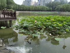 -中国农业博物馆