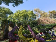 -杭州植物园