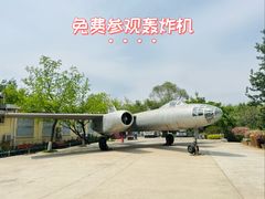 -云岗森林公园