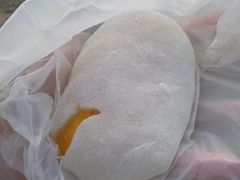 芒果糯米糍-澳门长洲糯米糍(柯打苏沙街店)