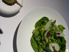 -Oyster Talks 四度蚝法餐厅