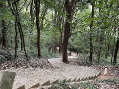 -上海佘山国家森林公园天马山园