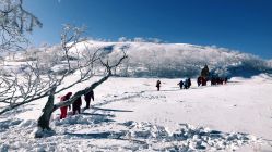-大秃顶子山