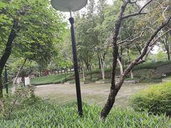 -重庆彩云湖湿地公园