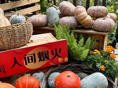 -周口店坡峰岭风景区