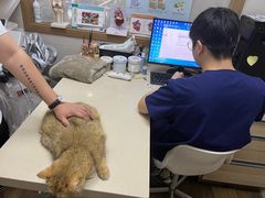 -爱侣·安琦尔宠物医院·中兽医针灸·心内科·狂犬免疫点(宝山区院)