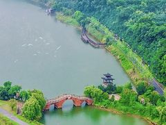 -巴陵全鱼席(湖南老字号汴河街店 )