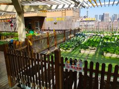 -巴黎春天(浦建店)