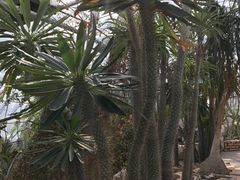 -北京植物园-展览温室