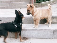 -石井坡(地铁站)