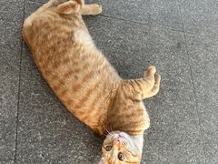 -南京工程学院(江宁校区)