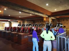 -七彩云南欢乐世界