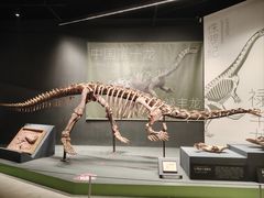 -遇见博物馆(遇见海洋沉浸式奇幻光影展)