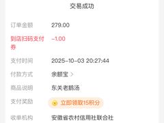 -巢湖名吃·东关老鹅汤(江南风情街店)