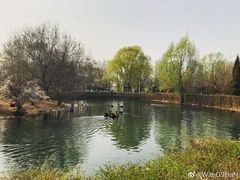 -长白岛森林公园