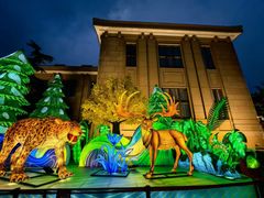 -国家自然博物馆