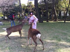 -京都和服体验 梦馆(五条店)