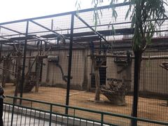 -石家庄市动物园