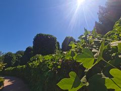 -郑州植物园