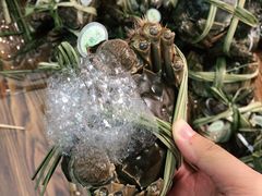 -蟹状元大闸蟹·年货·粽子(成都成华店)
