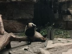 -石家庄市动物园