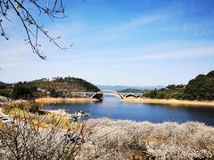 -广州市流溪河国家森林公园