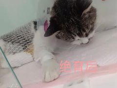 -萌兽医馆·眼科·异宠专科(三里屯店)