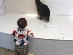-浣熊柯尔鸭土拨鼠·电玩咖
