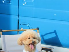 -小意思咖啡店(草桥店)