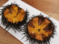 -海胆小馆(东北水饺·春柳店)