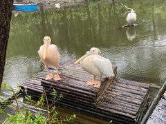 -济南野生动物世界