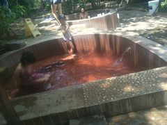 -三亚珠江南田温泉度假区