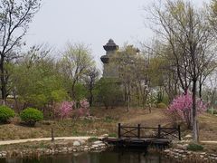 -武清南湖绿博园