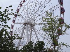 -顾村公园