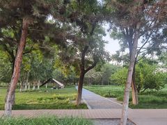 -汉长安城未央宫国家考古遗址公园