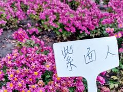 -黑龙江省森林植物园