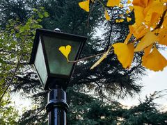 -上海市龙华烈士陵园