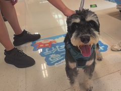 -帕帕拉兹宠物(亚洲旗舰店)